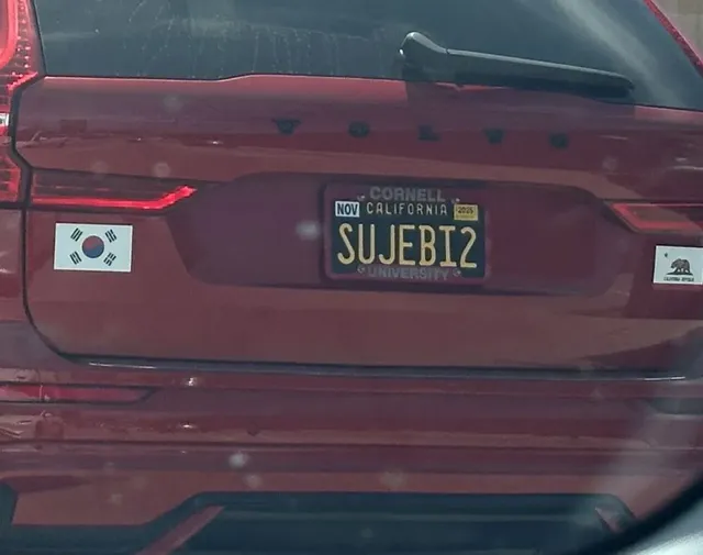 얼굴을 안 봐도 차주의 인종을 알 것 같은 번호판들.jpg