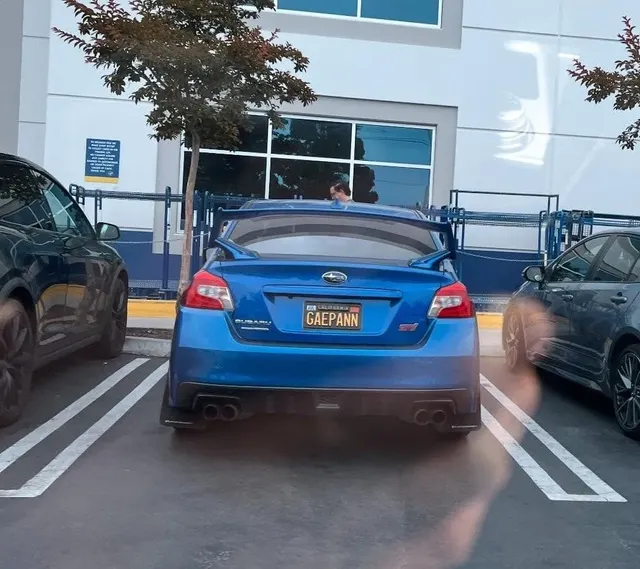 얼굴을 안 봐도 차주의 인종을 알 것 같은 번호판들.jpg