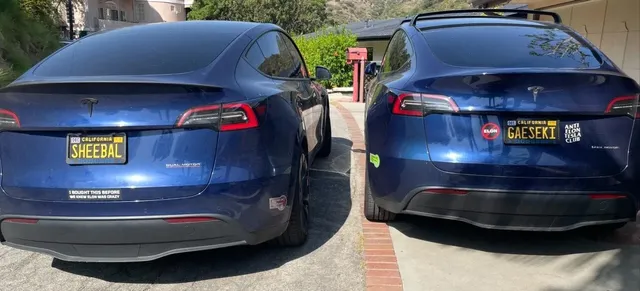 얼굴을 안 봐도 차주의 인종을 알 것 같은 번호판들.jpg