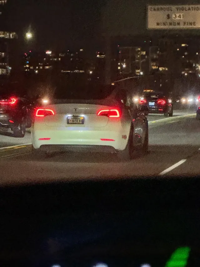 얼굴을 안 봐도 차주의 인종을 알 것 같은 번호판들.jpg