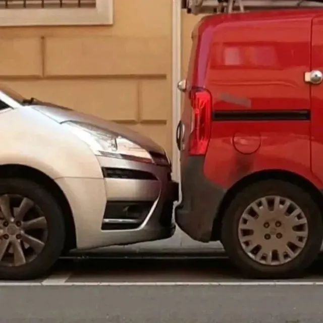 아주 딱 맞는 사진들