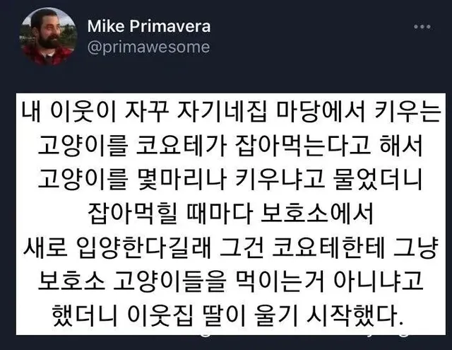 보호소 고양이를 몇마리나 입양했던 캣맘소녀