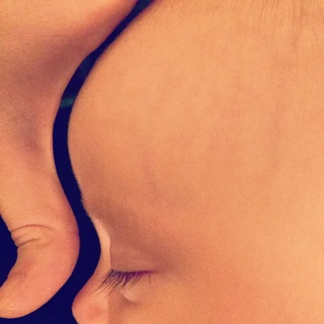 아주 딱 맞는 사진들