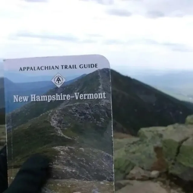 아주 딱 맞는 사진들