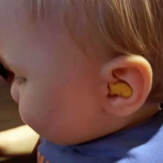 아주 딱 맞는 사진들