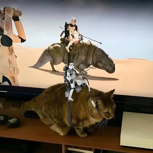 스타워즈 좋아하는 집사가 나한테 한 짓