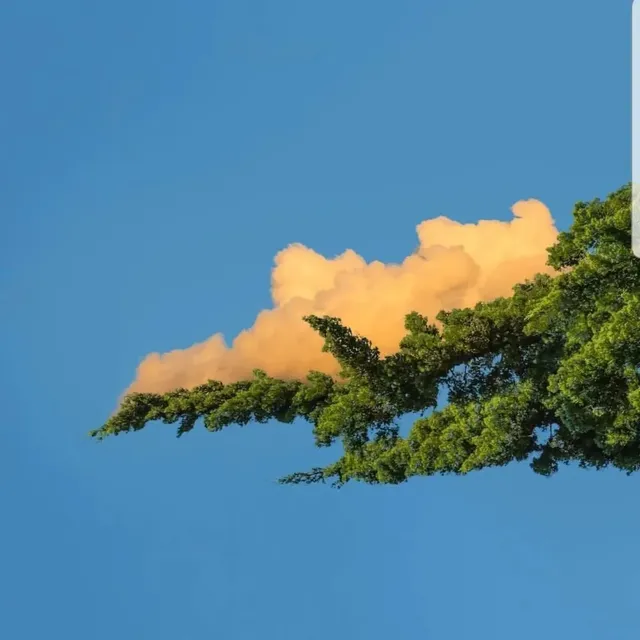 아주 딱 맞는 사진들