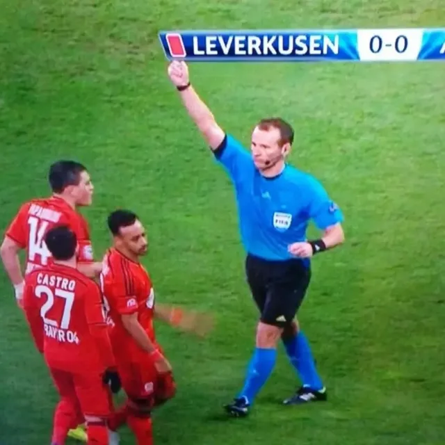 아주 딱 맞는 사진들