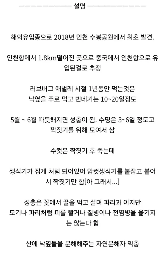 러브버그 이거 갑자기 나타난 이유