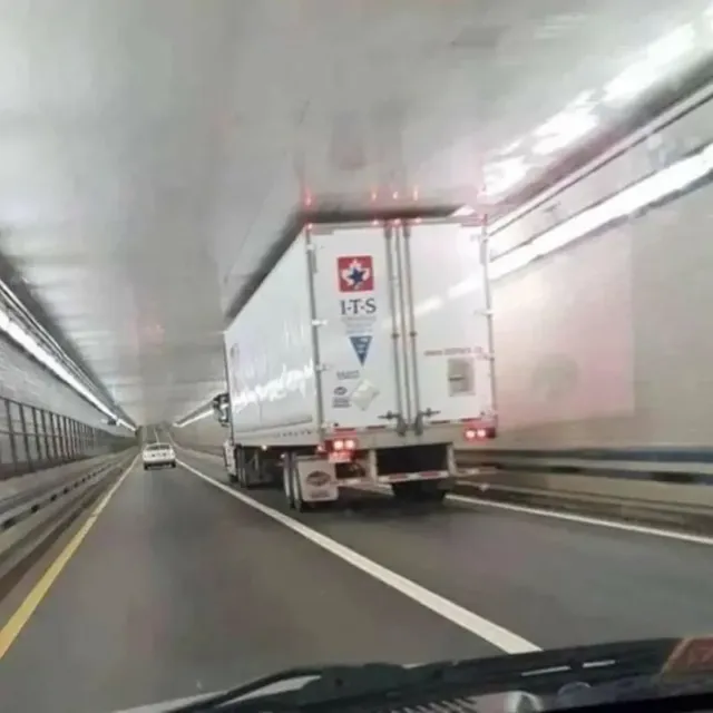 아주 딱 맞는 사진들