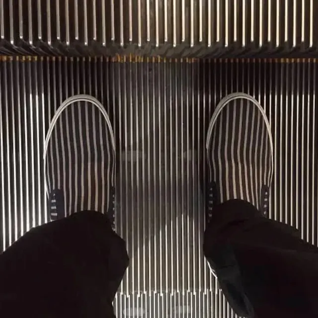 아주 딱 맞는 사진들