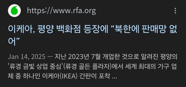 며칠전 북한 평양에 오픈한것