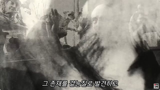 보면 반드시 죽는다는 귀신