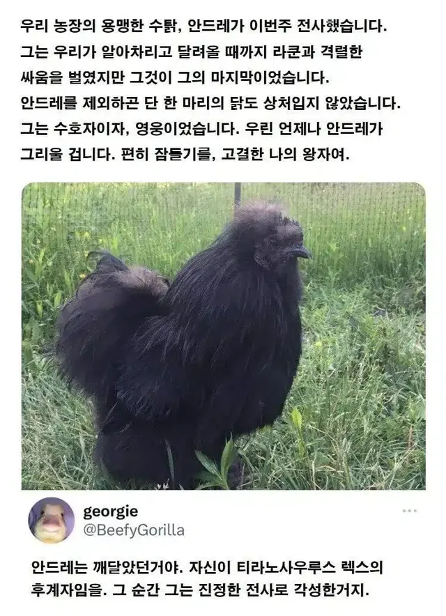 닭이 공룡의 후예라는 증거