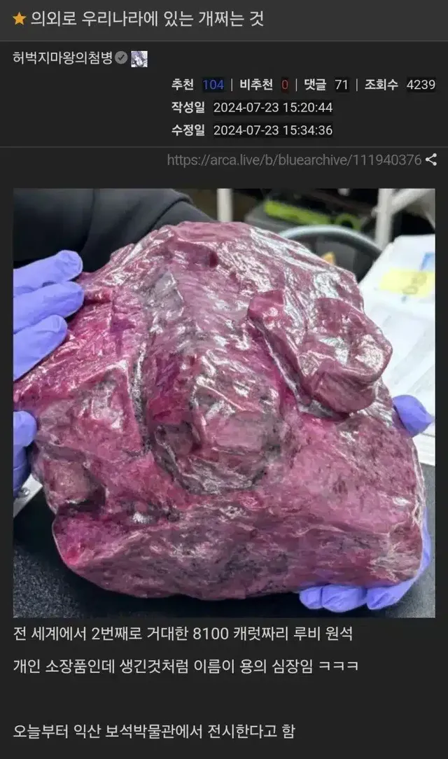 의외로 우리나라에 있는 것. jpg