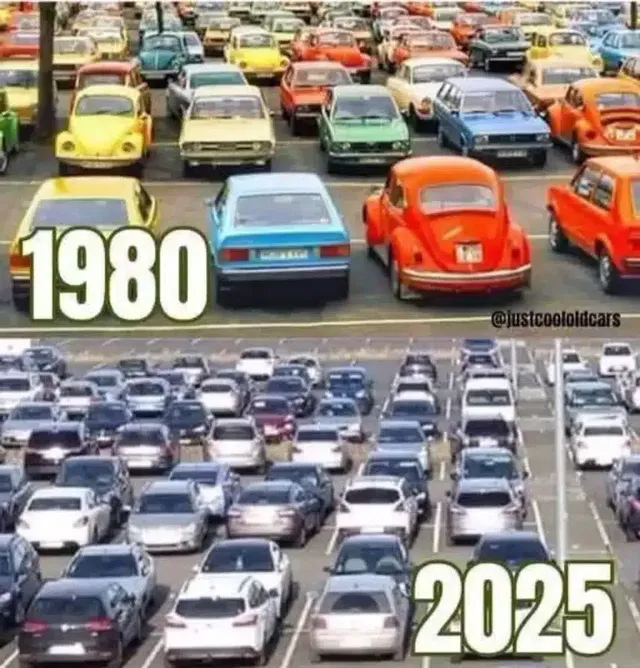 차 색깔 선호도의 변화