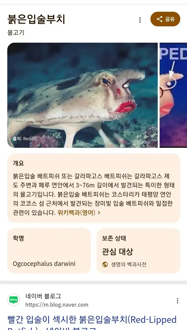 갈라파고스 제도의 물고기 생김새