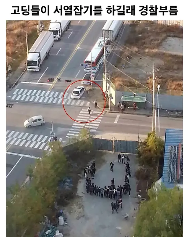 고딩들이 서열잡기 하길래 경찰부름