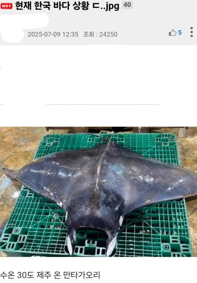 우리나라 바다 어종상황