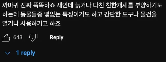 까마귀🐦는 의외로 순둥순둥하다