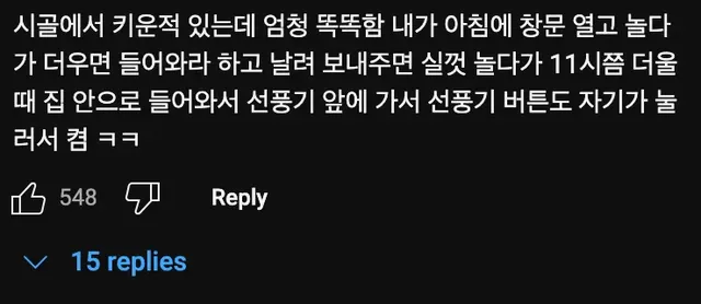 까마귀🐦는 의외로 순둥순둥하다