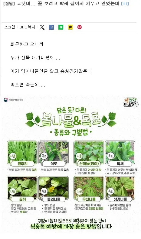 1년 농사 지은거 다 도둑 맞은 시골 청년 jpg