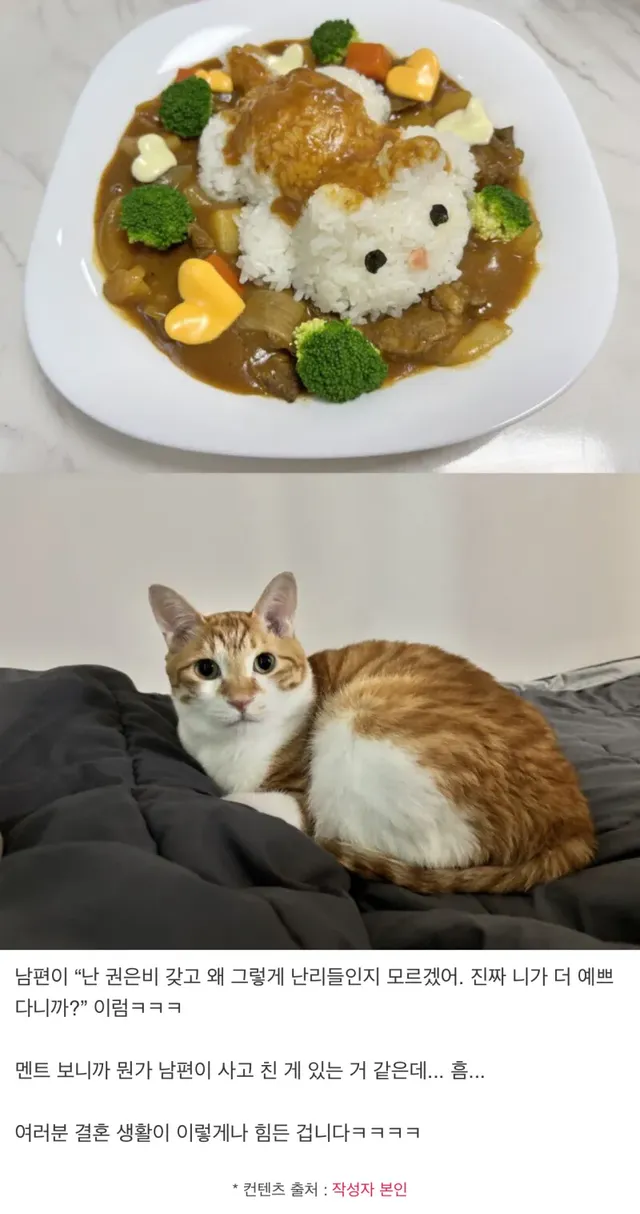 남편이 아내를 권은비보다 예쁘다한 이유.jpg