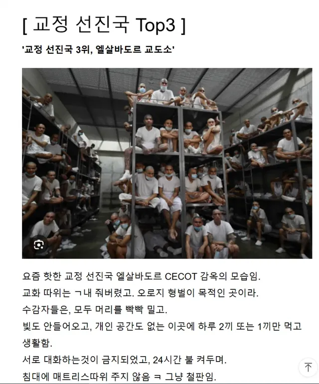 교정 후진국 vs 교정 선진국 Top3 ㄷㄷㄷㄷㄷ