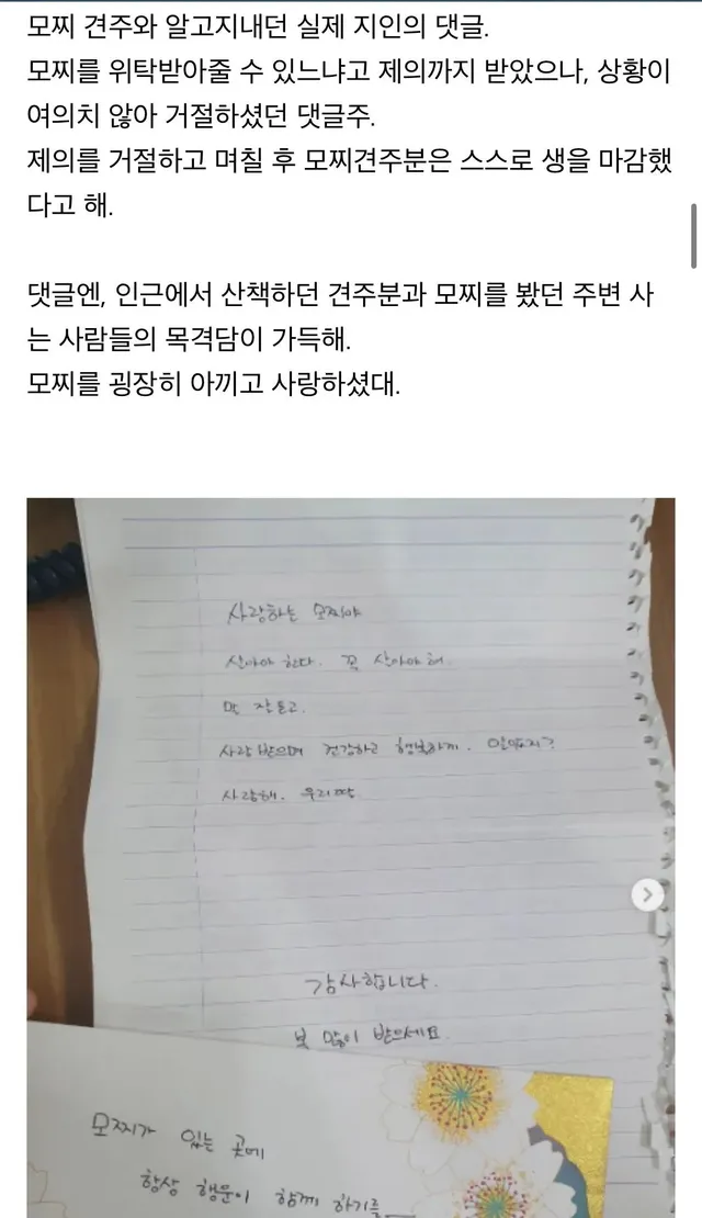 탄천주차장 버려진강아지 후기