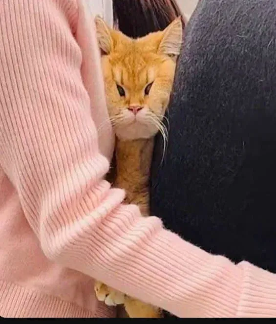 너무 붙는거 아니냥