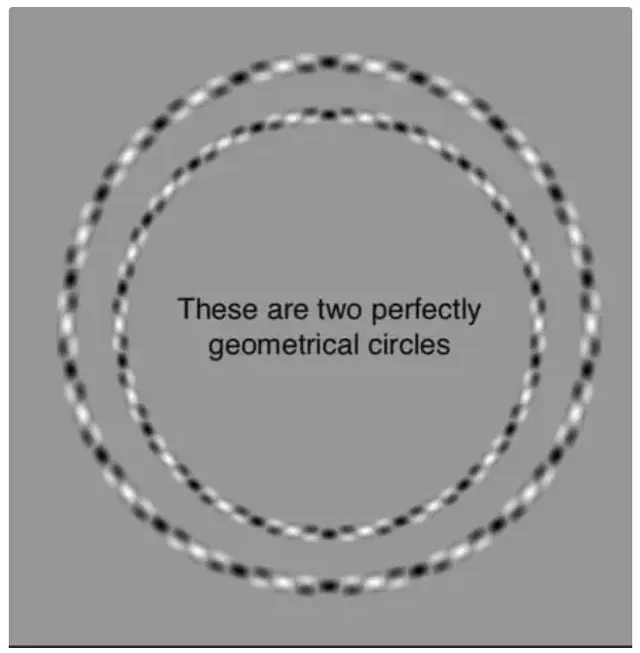 개곡선? 폐곡선?