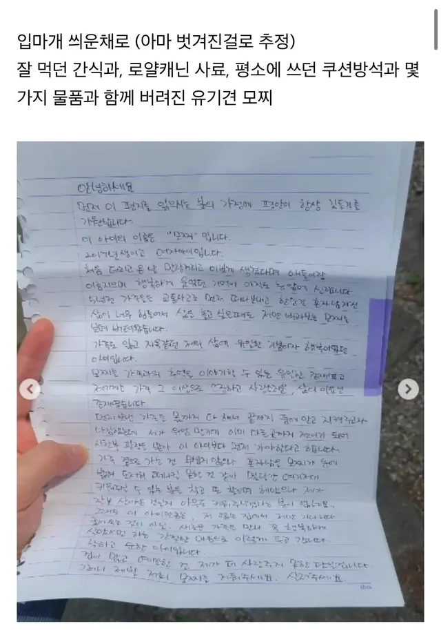 탄천주차장 버려진강아지 후기