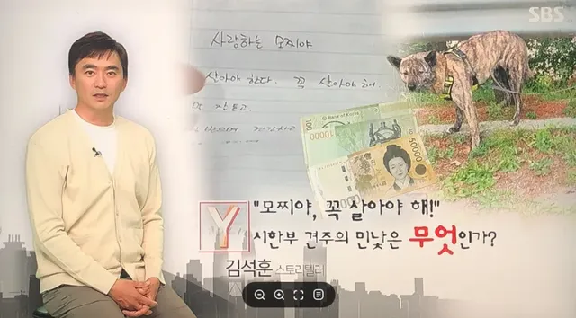 탄천주차장 버려진강아지 후기