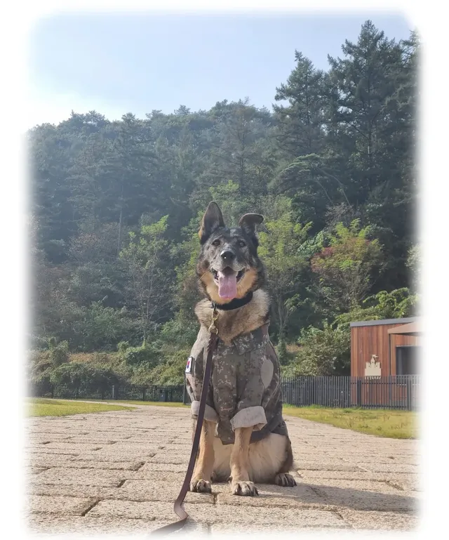 키크니 작가 -군견 우도 - .jpg