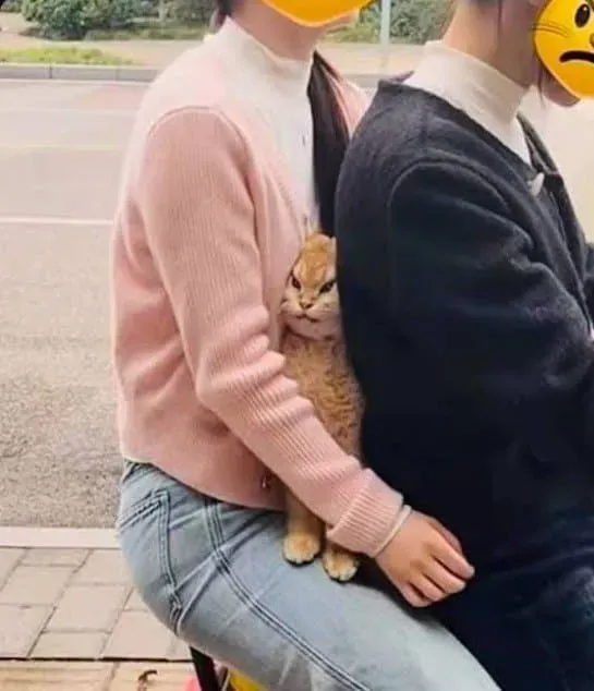 너무 붙는거 아니냥