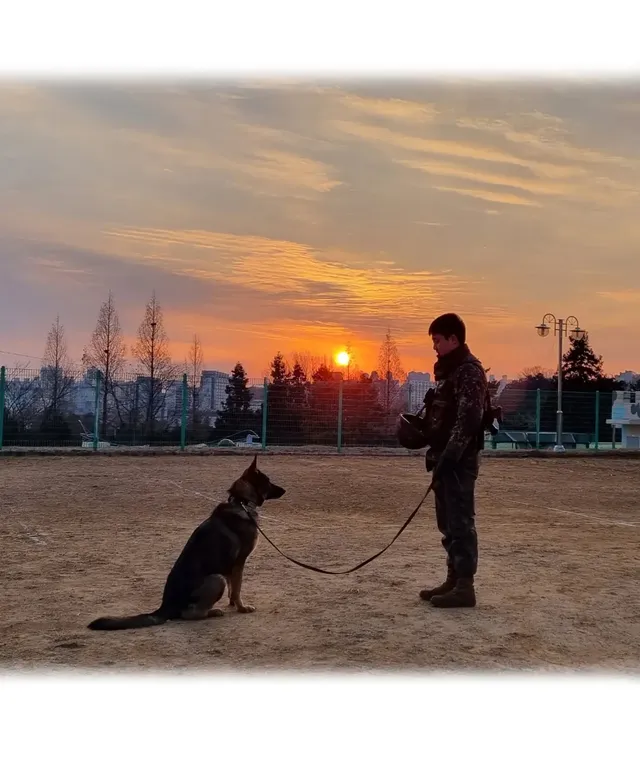 키크니 작가 -군견 우도 - .jpg