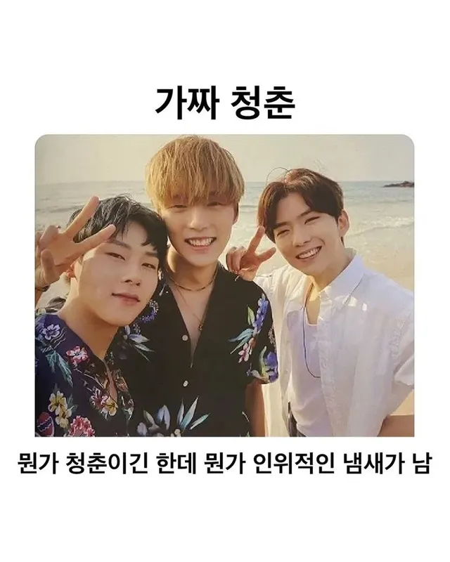 남자들의 가짜 청춘과 진짜 청춘