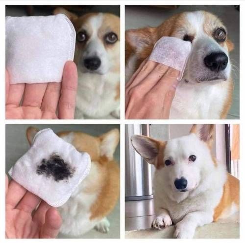 ??: 아이라이너 클렌저 후기 작성시간