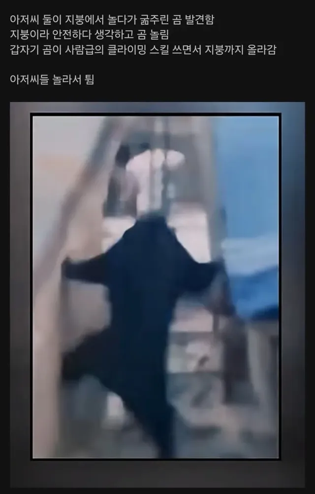 지붕 위에서 곰을 놀린 두 남자