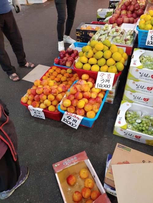 최자 시장 과일값 근황.jpg
