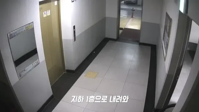 자전거 절도범 검거