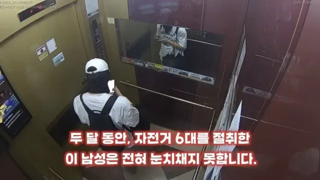 자전거 절도범 검거