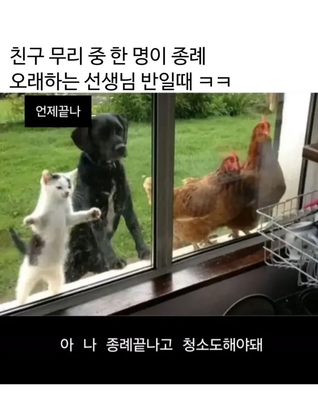 중고딩학교 시절이 생각나는 짤