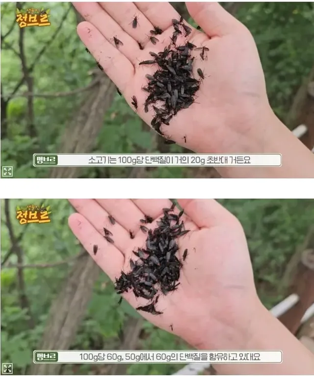 드디어 나온 헬창들의 게임체인저