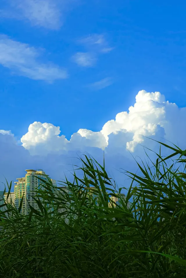 폭염속 대한민국 하늘 근황.jpg