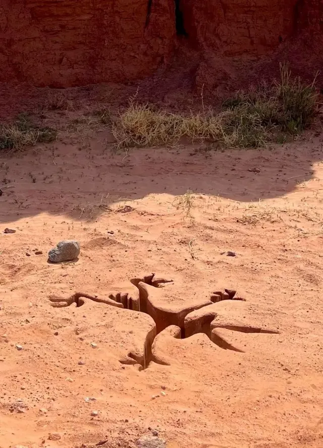 뭐가 떨어진거야?