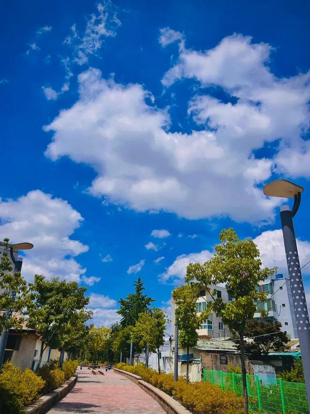 폭염속 대한민국 하늘 근황.jpg