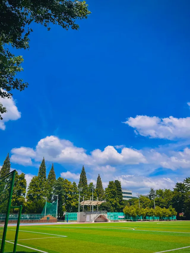 폭염속 대한민국 하늘 근황.jpg