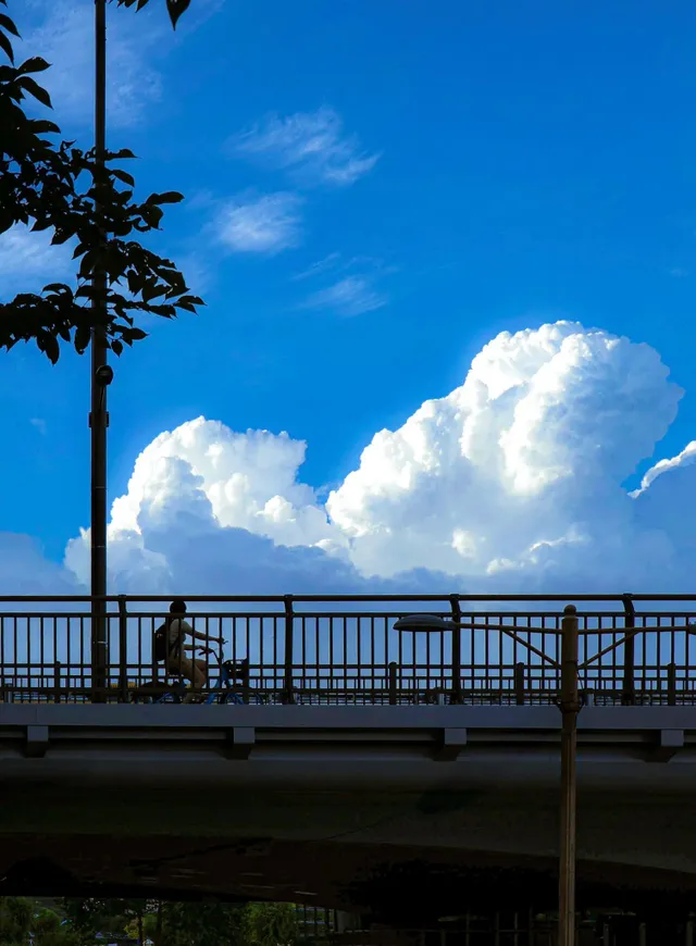 폭염속 대한민국 하늘 근황.jpg