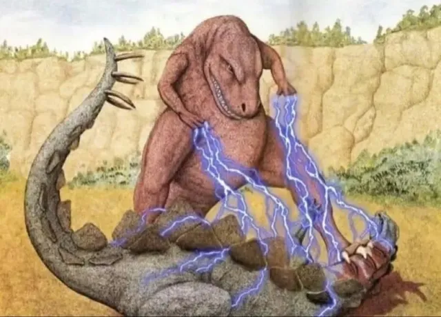 사람들이 잘 모르는 킹룡들의 싸움 방식